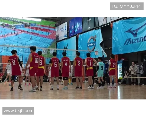 广州排球队个人能力分析与联赛表现评估的深度解读